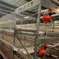 華邦生產(chǎn)批籠養(yǎng)設(shè)備H型雞籠籠架肉雞籠子
