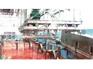 懸掛式紅臟同步衛(wèi)檢輸送機（仿歐式）