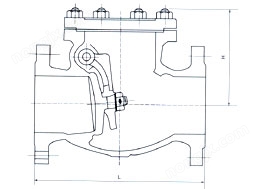 美標旋啟式止回閥(圖1)