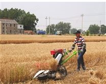 割小麦机器多少钱